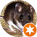 dezynsekcja deratyzacja profile picture